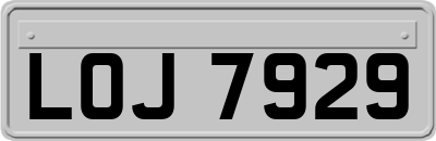 LOJ7929