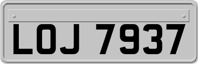 LOJ7937