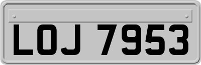 LOJ7953