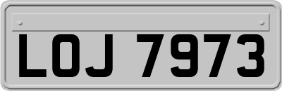LOJ7973