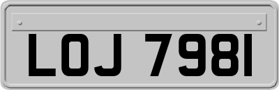 LOJ7981