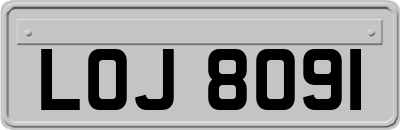 LOJ8091