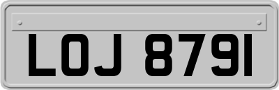 LOJ8791