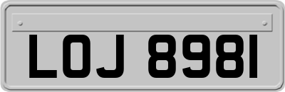 LOJ8981