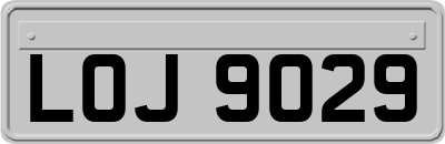 LOJ9029
