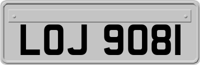 LOJ9081