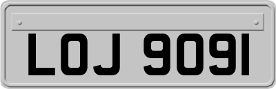 LOJ9091