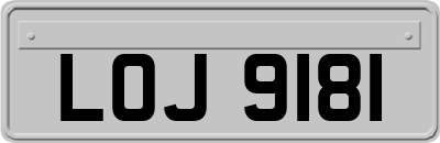 LOJ9181