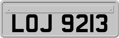 LOJ9213
