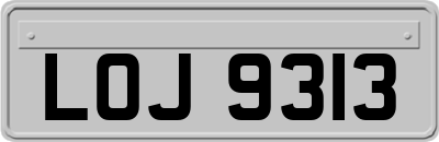 LOJ9313