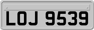 LOJ9539