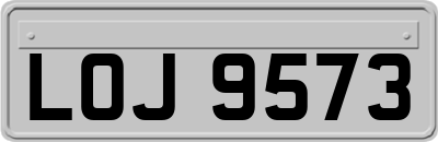 LOJ9573