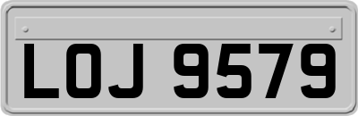 LOJ9579