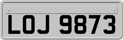 LOJ9873