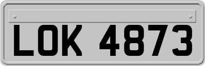 LOK4873