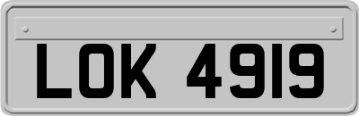 LOK4919