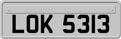 LOK5313