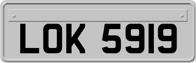 LOK5919