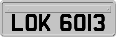 LOK6013