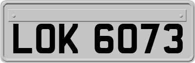 LOK6073
