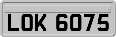 LOK6075