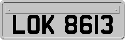 LOK8613