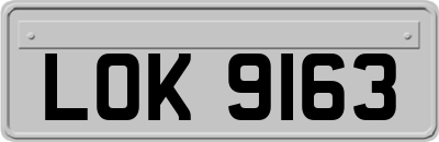 LOK9163