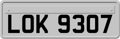 LOK9307