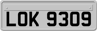 LOK9309