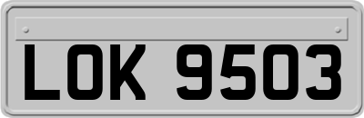 LOK9503
