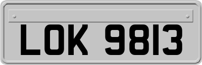 LOK9813