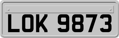 LOK9873