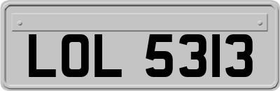 LOL5313