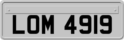 LOM4919