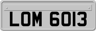 LOM6013