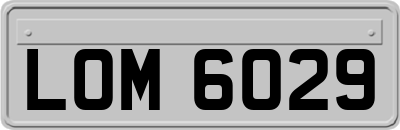 LOM6029