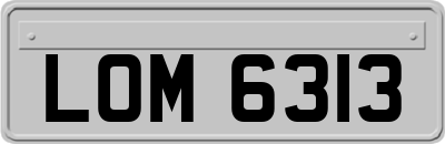 LOM6313