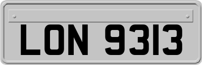 LON9313