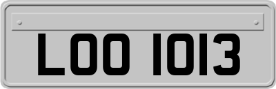 LOO1013