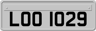 LOO1029