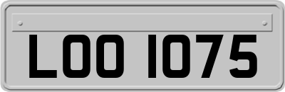 LOO1075