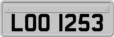 LOO1253