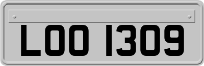 LOO1309