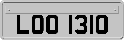 LOO1310