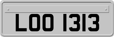 LOO1313