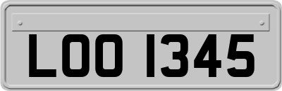 LOO1345