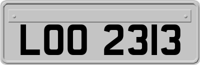LOO2313