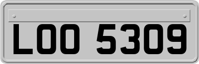 LOO5309