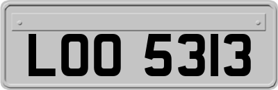 LOO5313