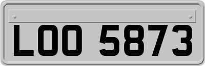 LOO5873